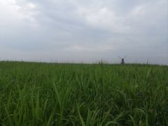 -宁波杭州湾国家湿地公园