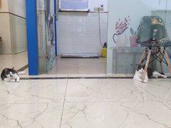 -派特宠物医院(圆融广场店)