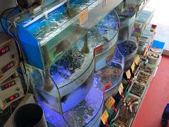 -蔚海之都·象山蒸汽海鲜(仙霞路店)
