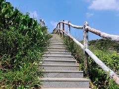 -西涌国际滨海旅游区