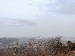 -北京西山国家森林公园