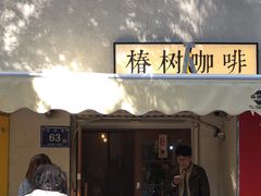 -椿树咖啡