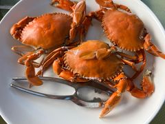 -沙田台山海鲜·酣客酒窖