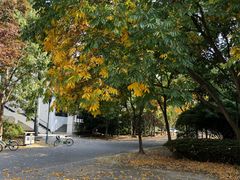 -东华大学(松江校区)