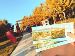 -武清南湖绿博园