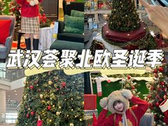 -武汉荟聚
