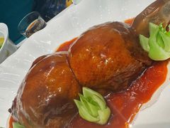 -丁老爷子苏香圆