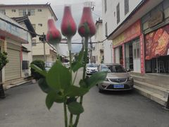 -丽江金茂凯悦臻选酒店-滇香馆