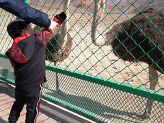 -新疆天山野生动物园