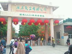 -广东茂名森林公园