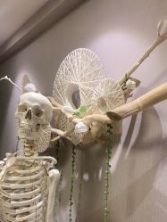 -小林日式·小颜整骨院