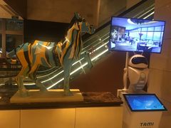 -武汉马哥孛罗酒店