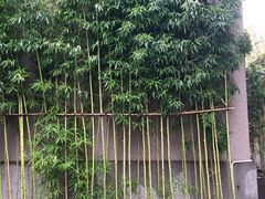 -徐家汇源景区-衡山坊