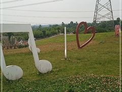 -紫颐香薰山谷景区