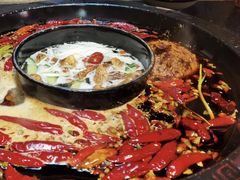 -渝大狮毛肚老火锅(普陀店)