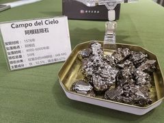 -志强陨石馆(双季花艺店)