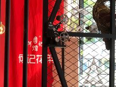 -何记花甲(海岸城旗舰店)