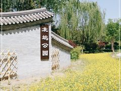 -北坞公园