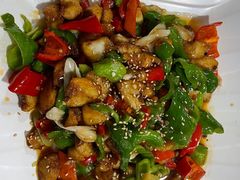 -煲来饱去冷水鱼