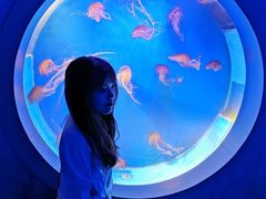 -泉城欧乐堡海洋极地世界