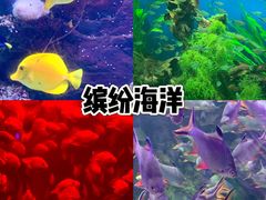 -正佳极地海洋世界