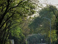 -南山植物园