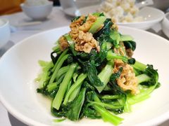 鸡毛菜炒腐衣-玫瑰厅上海菜(兴国路店)