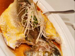 清蒸大黄鱼-闽海肴(北辰荟店)