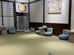 -逗柴咖啡屋·狗咖猫咖宠物桌游