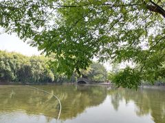 -棠湖公园