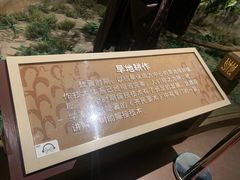 -中国农业博物馆