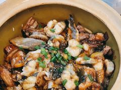 -红星光发煲仔饭(文海店)