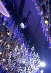 -花嫁丽舍婚礼殿堂(世博江景店)