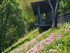 -西湖风景区-江洋畈生态公园