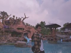 -绿光森林餐厅