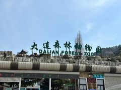 -大连森林动物园