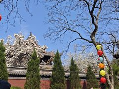 -钱王祠