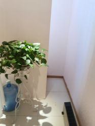 -薇兰专业脱毛连锁机构