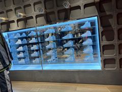 -JORDAN(东方广场店)