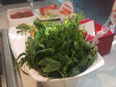 豌豆苗-海底捞大排档火锅(悦荟广场店)