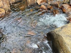 -北仑森林植物园