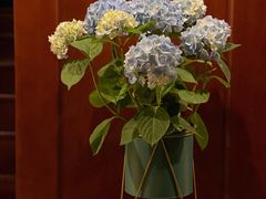 -西安华清御汤酒店