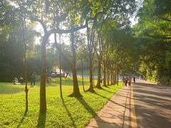 -深圳仙湖植物园