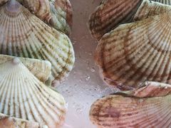 -老明馨潮汕大排档