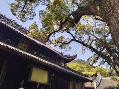 -阿育王寺