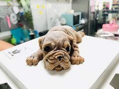 -YC工作室蛋糕定制