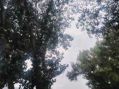 -乌素图国家森林公园