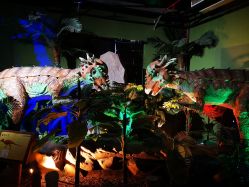 -恐龙探索乐园(磁器口店)