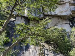 -黑龙潭风景区