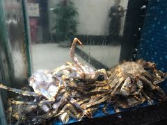 -海都六福酒家(世博广场店)